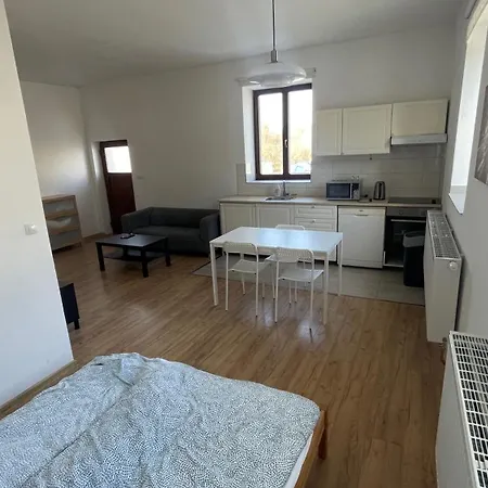 Na Hrncirne Apartment